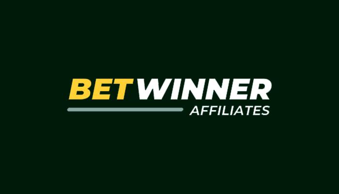 BetWinner Affiliates Review 2024 - Best Direct Advertiser